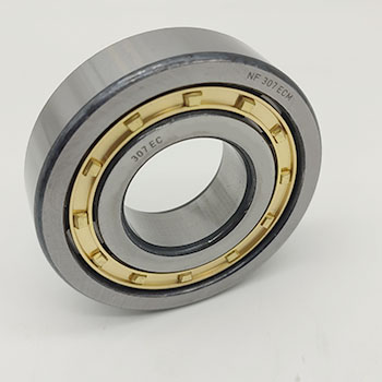 NF307ECM Bearing Cylindrical Roller Bearings