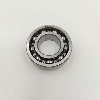 6004 Deep groove ball bearings